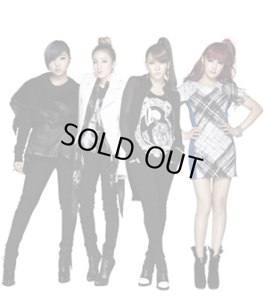 画像1: 2NE1 2012 1st WORLD TOUR - “ NEW EVOLUTION ” (1)