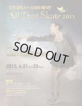 All That Skate 2013 