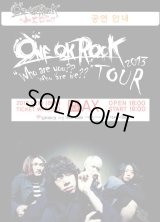 ONE OK ROCK 2013 [Who are you?? Who are we??] TOUR 