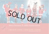 Dear My Family Merry Christmas T-ARA Family Concert