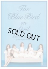 April コンサート 〈The Blue Bird on April〉