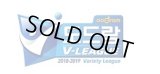 2018〜2019 V-LEAGUE（韓国バレーボールプロリーグ）