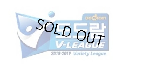 画像1: 2018〜2019 V-LEAGUE（韓国バレーボールプロリーグ） (1)
