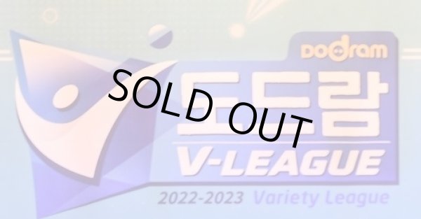 画像1: 2022〜2023 V-LEAGUE（韓国バレーボールプロリーグ） (1)