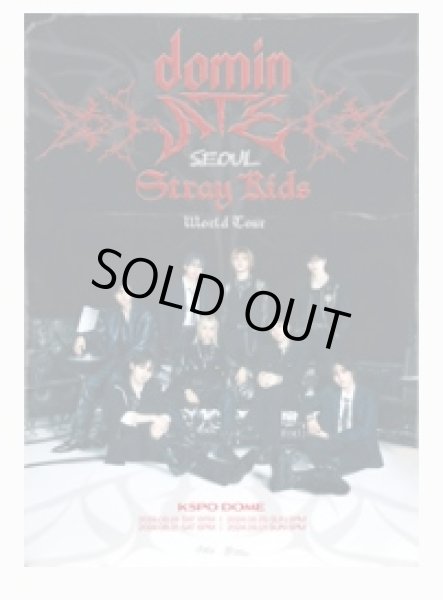 画像1: Stray Kids World Tour 〈dominATE SEOUL〉 (1)