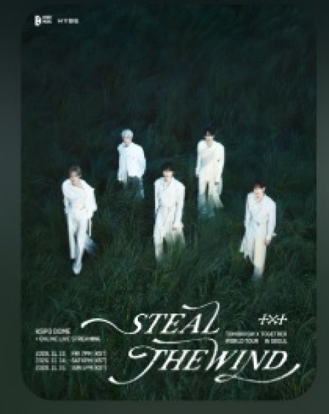 画像1: TOMORROW X TOGETHER WORLD TOUR 〈STEAL THE WIND〉 IN SEOUL (1)