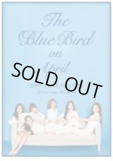 画像: April コンサート 〈The Blue Bird on April〉