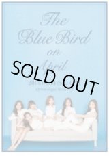 画像: April コンサート 〈The Blue Bird on April〉