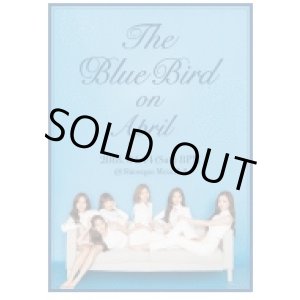 画像: April コンサート 〈The Blue Bird on April〉