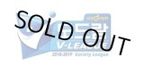 画像: 2018〜2019 V-LEAGUE（韓国バレーボールプロリーグ）