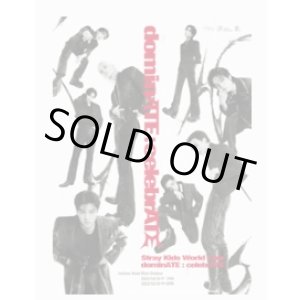 画像: Stray Kids World Tour 〈dominATE : celebrATE〉